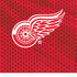 NHL Detroit Red Wings Home Jersey Moto E5 Play Skin